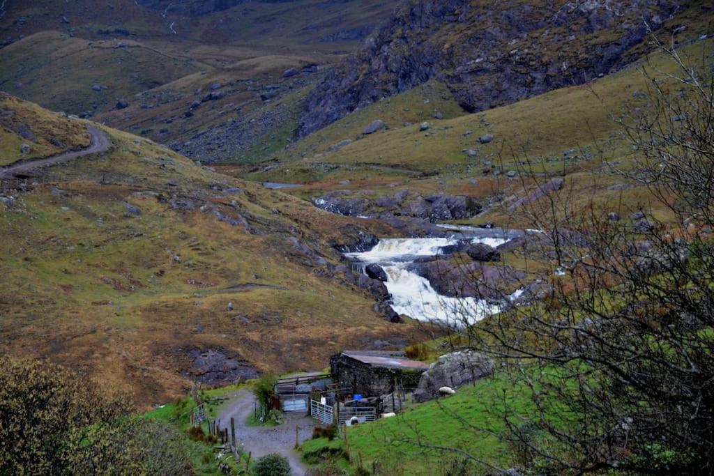 Secluded Cottage Nestled In The Beara Peninsula 基拉尼 外观 照片