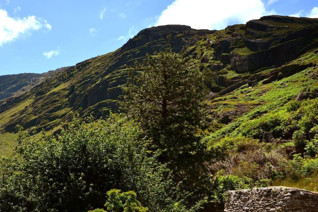 Secluded Cottage Nestled In The Beara Peninsula 基拉尼 外观 照片